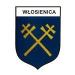 OSP Włosienica - ogłoszenie przetargu na nowy wóz strażacki